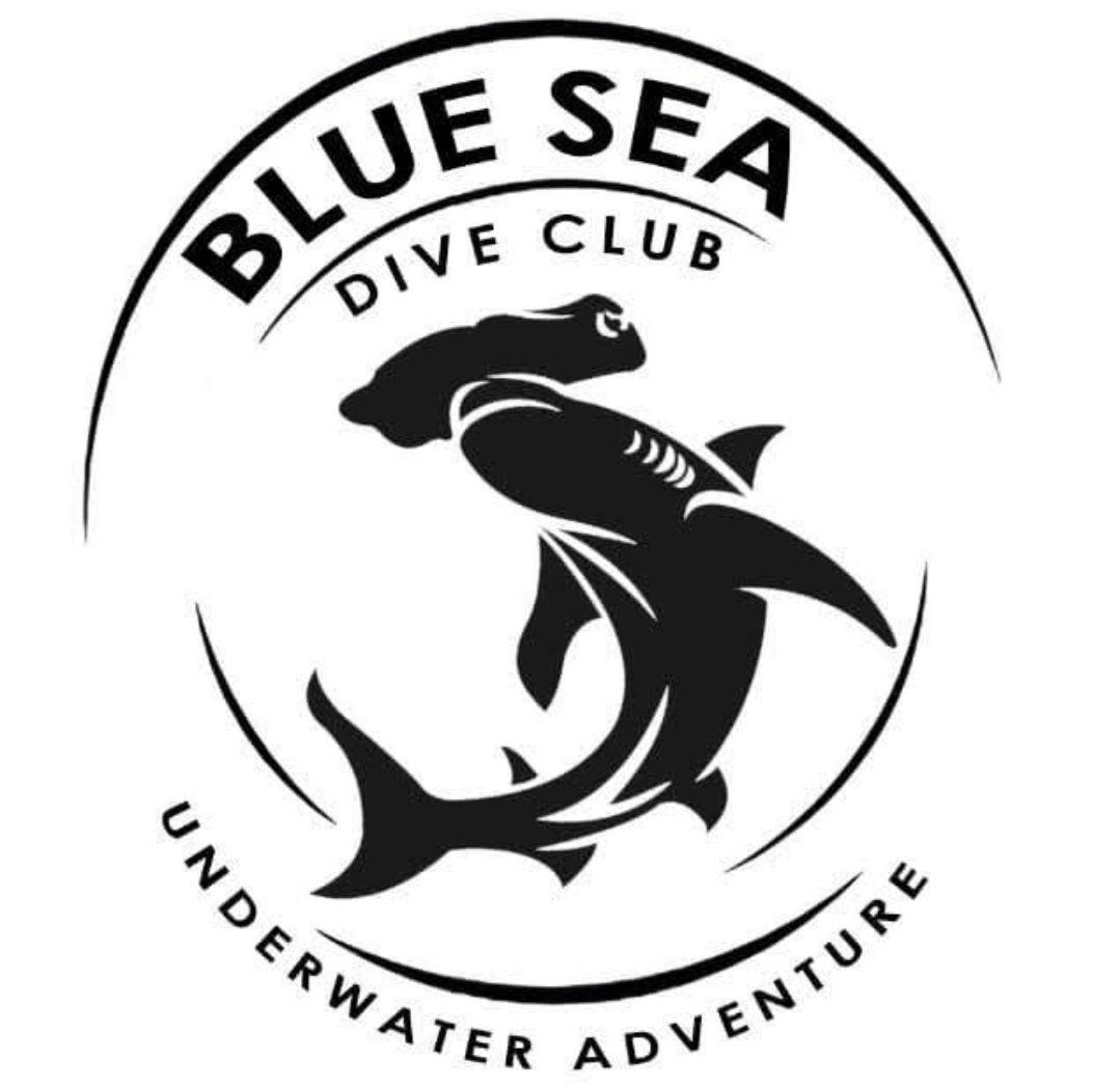 Blue Sea Dive Club